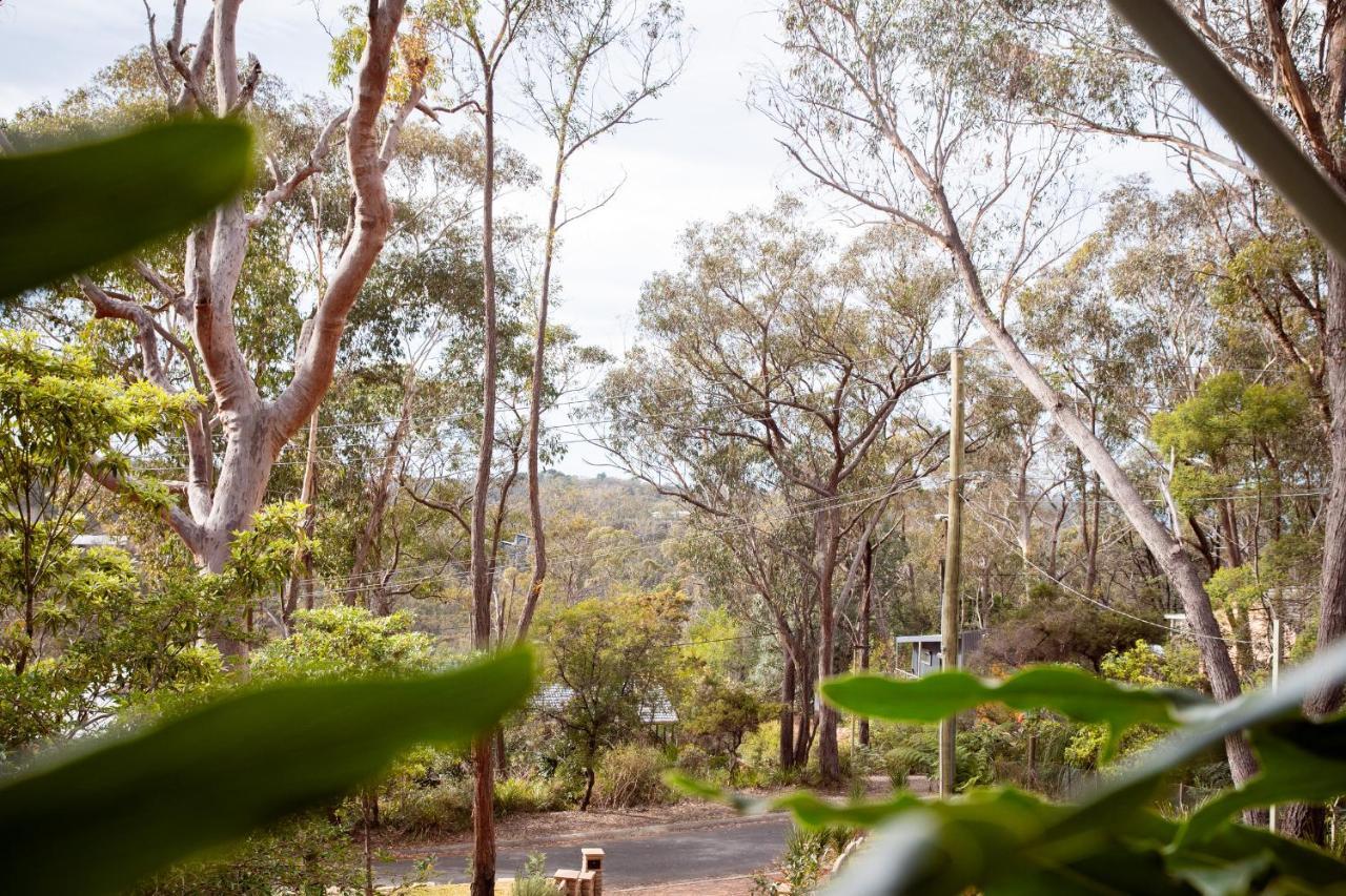 Bed and Breakfast Snooty Fox Bed &Breakfast Hazelbrook Экстерьер фото